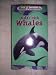 Real Animals: Day With Whales [VHS]