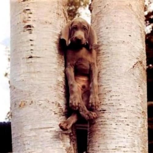 Me and My friend Called "Stuck"