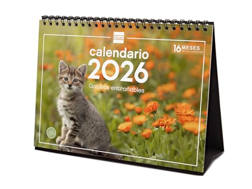 Finocam   Calendario de sobremesa 2026 Mes Vista Enero   Diciembre 2026 + Sep.  Dic. 2025 (4 meses) reducidos | Calendario 2026 | Imágenes Gatitos   Español