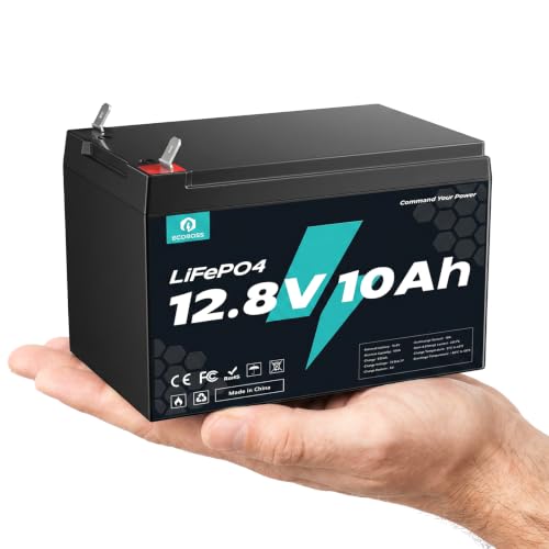 12V 10Ah LiFePO4 Lithium Battery 5000+ Deep Cycles Lightweight Design with 10A BMS IP67 Waterproof Rechargeable Lithium Iron Phosphate Battery for Power Wheels Solar Marine Fish Finder Camping