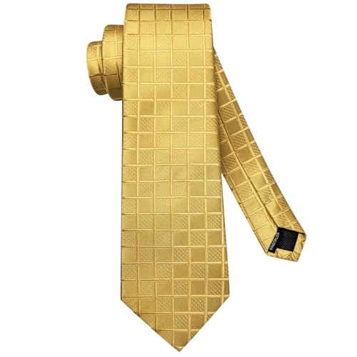 Image of Hi-Tie Mens Paisley Floral Striped Ties Set Silk Necktie and Lapel Pin for Men Pocket Square Cufflinks Set Business Wedding