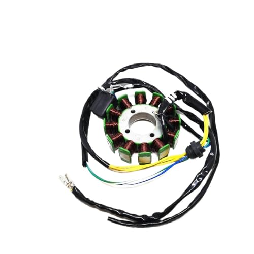 Stator magnéto 12 pôles haute performance pour moteur CG 250CC