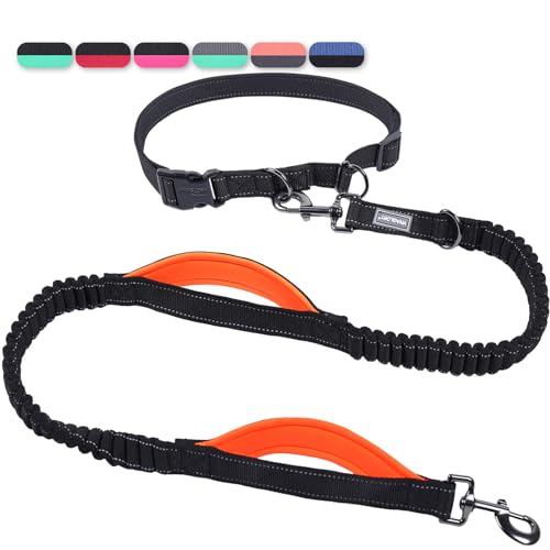 Laisse mains libres VIVAGLORY chien, S, noir/orange