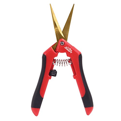 Corona Clipper Aluminum Pruner Pivot Bolt & Nut 6250-3T Fits BP6250, BP4250, BP4840 Rolling Handle Pruner