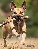  notebook: 8.5x11 cute lined journal notebook  cool notebook paper with page numbers and date  lined notebook college ruled  beautiful lined ...  dog animal mammal hybrid floor race play