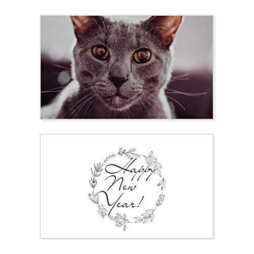Tarjeta conmemorativa de Año Nuevo de gato gris; ideal para enviar tus deseos desde el hogar