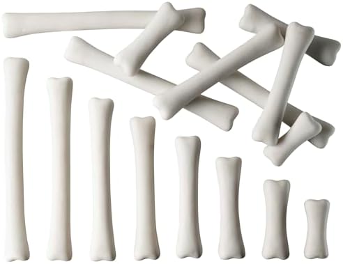 Yellow Door Dinosaur Bones Match & Measure Set, Multi