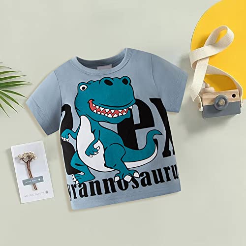Boys Girls Cute Shirt Cotton Toddler Kids Graphic T-Shirt Dinosaur Print Tees Summer Clothes Short Sleeve Crewneck Top2