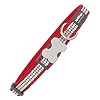Red Dingo Hondenhalsband X-Small, 12 mm x 20 – 32 cm, Rood