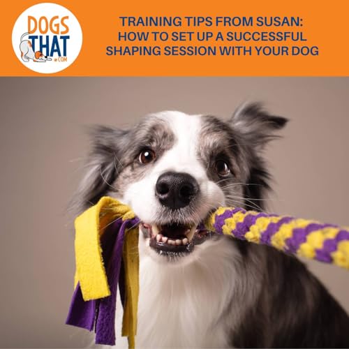 Training Tips From Susan: How To Set Up A Successful Shaping Session With Your Dog cover art