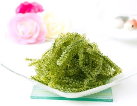 Amazon 沖縄産 海ぶどう シークワーサー果汁入りタレ付き 100g 常温発送です 冷蔵品と同梱発送できません 沖縄百貨店 七屋 海藻類 通販