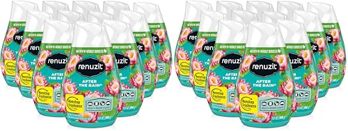 Image of Renuzit Adjustable Gel Air Freshener Cone, After the Rain Scent, Nonstop Freshness, 7oz Cone, 12 Count, brand is Renuzit. (Pack of 2)