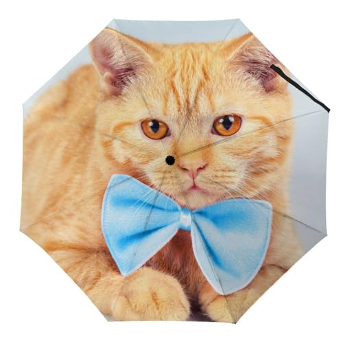 Parapluie compact automatique pliable pour ne plus subir les averses