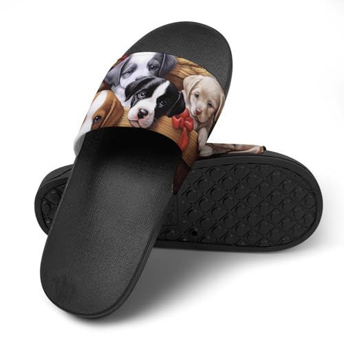 Cute Dogs in Basket Non Slip Slides Sandals for Women Men Quick Drying Shower Shoes for Bathroom Pool Beach4