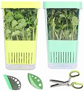 Boîte à Levure Pour Pizza Et Pain - 3 Récipients 30x40x10 Cm Avec Couvercle, Lavable Lave-vaisselle (Plastique Alimentaire)