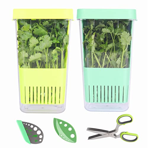 LUVCOSY Paquete de 3 contenedores para hierbas frescas (cilantro, menta, perejil, espárragos) - Almacenamiento transparente que mantiene las verduras frescas por semanas