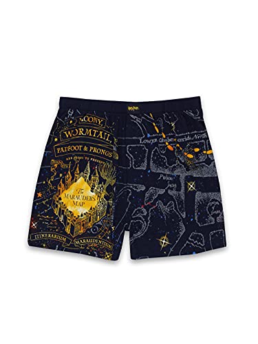 Harry Potter Hogwarts Houses Men's Briefly Stated Boxer Shorts Underwear
