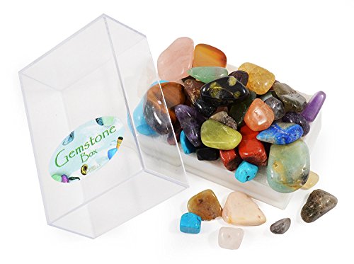 Fossil, Rock and Gemstone Box Collection. Set of 3 Boxes