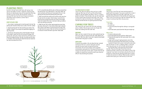 Mid-Atlantic Gardener's Handbook, 2nd Edition: All You Need to Know to Plan, Plant & Maintain a Mid-Atlantic Garden - Image 6