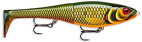 Pesca efficacemente in tutte le circostanze: La nostra esca artificiale per pesci predatori nuota a una profondità compresa tra 0,5 e 1 m. È adatta alla pesca del luccio e dei grandi predatori in acque dolci fredde o quando le condizioni sono difficili, perché affonda lentamente in orizzontale