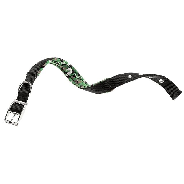 Ferplast Collar Perro Daytona Fantasy, Collar para Perros Medianos/Grandes, Collar de Nylon, Acolchado