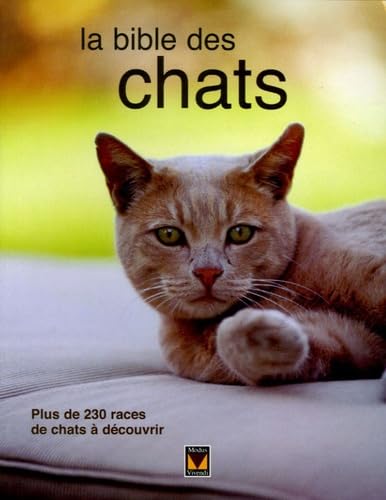 La bible des chats [Paperback] Costantino, Maria