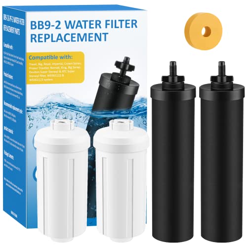 Water Filter Replacement for Berkey Systems (4-Pack)
