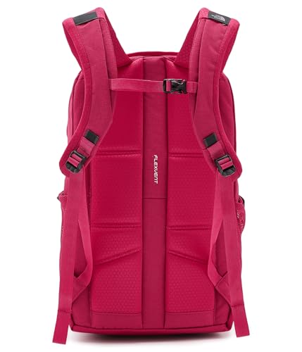 Image of The North Face Jester Everyday Laptop Backpack - PFAS Free