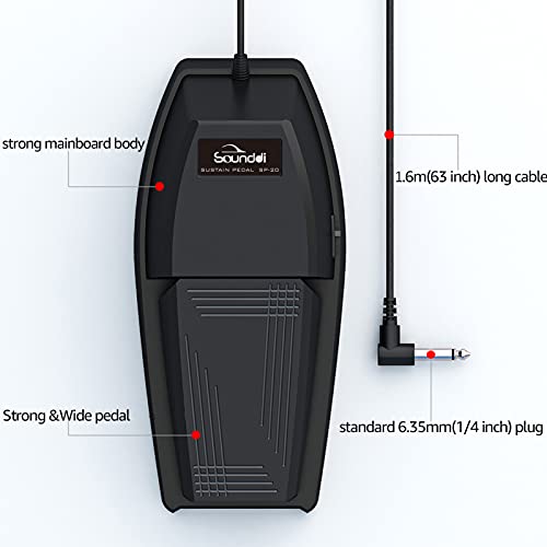 Sustain Pedal For Keyboard,Jinyun Universal Sustain Pedal With Polarity Switch Compatible With Most Digital Pianos, Yamaha, Casio And Midi Keyboards(Black) #TOP1
