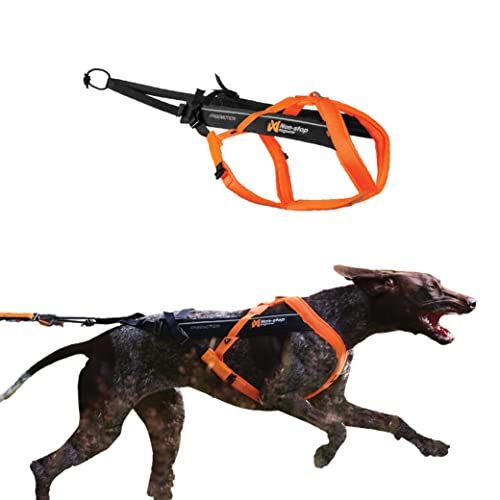 Image of Non-stop dogwear Freemotion Harness 5.0 Dog Pulling Harness for Sports Like Running, Biking and Skiing with Dogs, Professional Adjustable Dog Harness, Orange/Black, Size 8