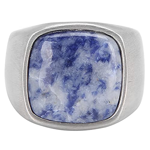 メンズリング、毎日の旅行のためのパーティーのための洗練されたパーソナライズされた耐久性のあるステンレススチールリングクラシック(スチールブルーのパターン)