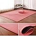 Produktbild QKX,Teppich,Korallensamtteppich Wohnzimmer Bodenmatte Schlafzimmer rutschfeste Decke Wohnzimmer Teppich Schlafzimmer Nachtbett rechteckige Bodenpolster, 2.200 cm x 300 cm