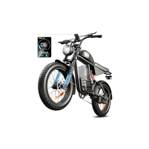 flytor 1000W Fat Tire Ebike