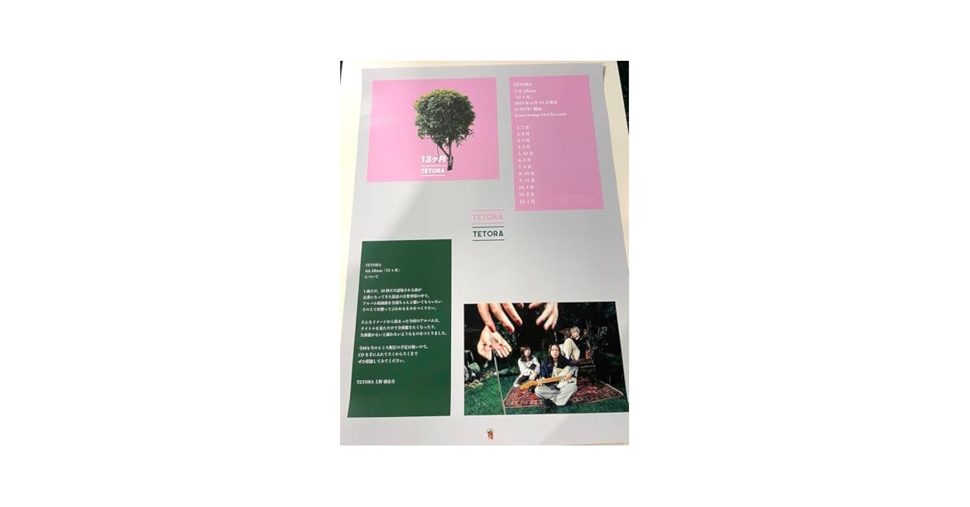 【非売品】つくもの ～やどりぎロマンス～ B2 サイズ ポスター 非売品】電撃姫 Tony 描き下ろし B2 サイズ ポスター 良質