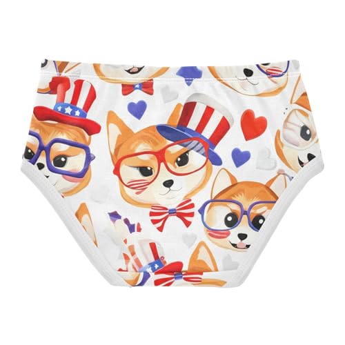 Cute Cartoon Shiba Inu Dog Girls Underwear Toddlers 2t Cotton Girl Panties Cute Stylish Kids Briefs Undies2