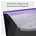 Smead Poly Frequency Expanding File Folders, Flap and Cord Closure, Letter Size, Wave Pattern, 13 Pocket, Purple/Black (70862)
