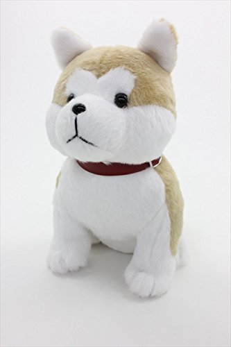 Amazon.co.jp: 秋田空港/大館能代空港協同プロデュ－ス 秋田犬