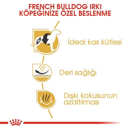 Royal Canin-French Bulldog Yetişkin Köpek Maması 3 kg