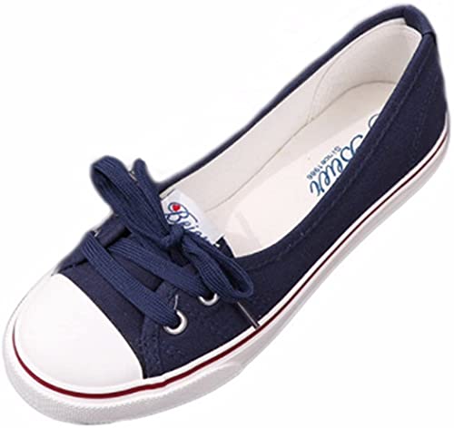 [NW] fB[X pvX Xj[J[ LoX 킢  (ubN, measurement_23_point_0_centimeters)