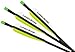 Lumenok Lumen-Arrow 20-Inch Carbon Bolts with Crescent Bolt End (3-Pack), Green