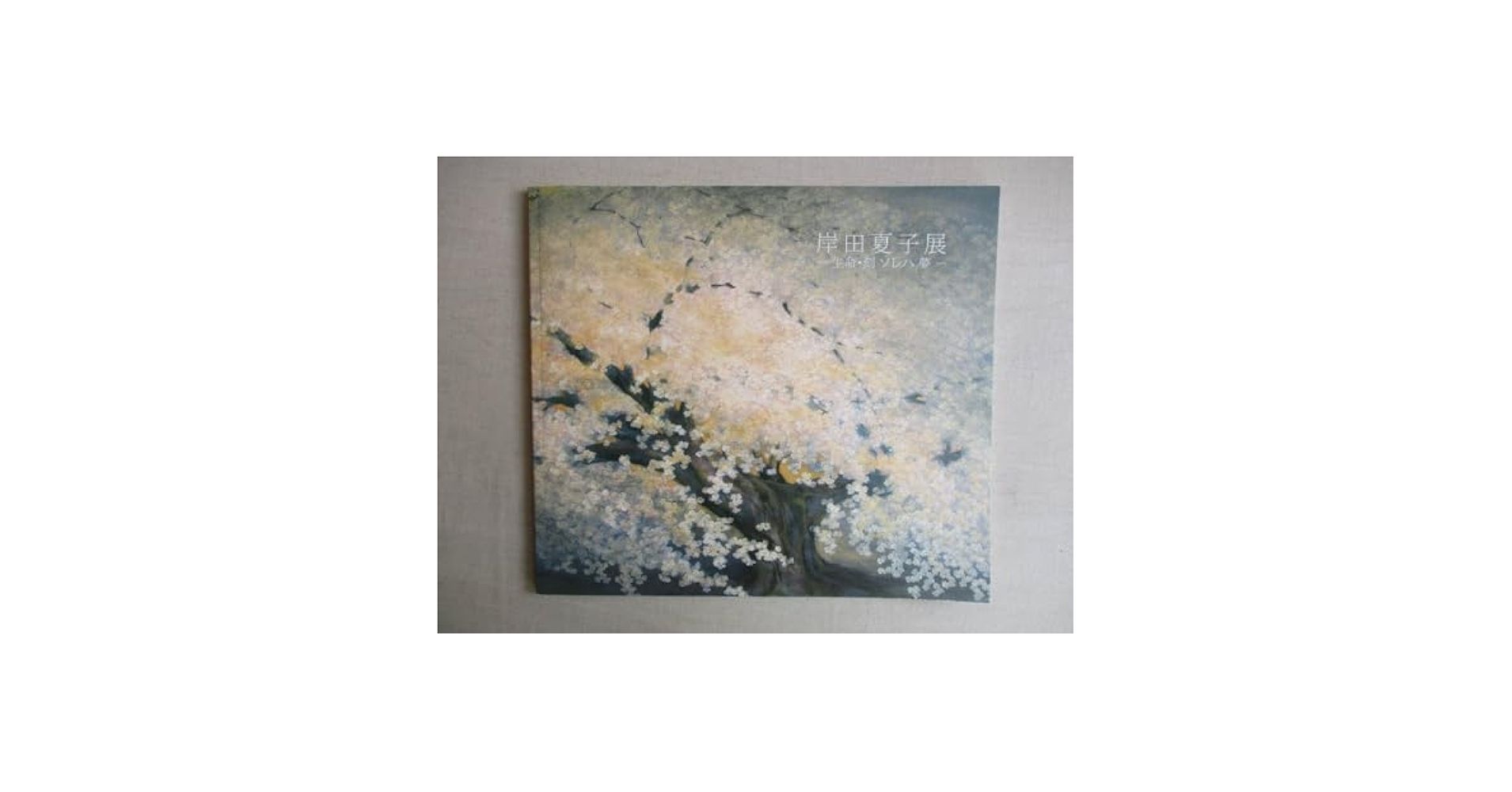 図録 岸田夏子作品集 図録 岸田夏子作品集 図録 岸田夏子作品集