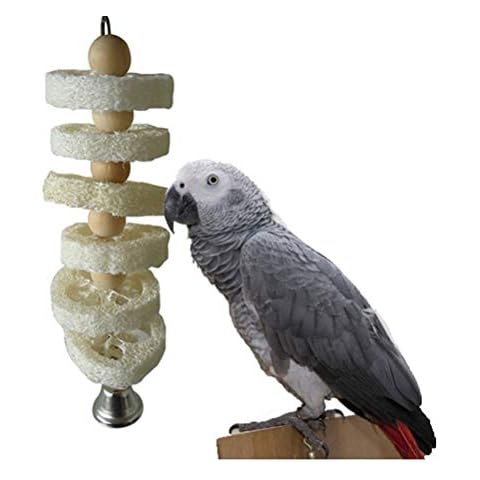 Keersi Natural Loofah Chew Toy for Pet Bird Parrot Macaw African Grey Budgie Parakeet Cockatiels Conure Lovebird Cage Chew Toy Cover
