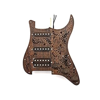 VENNSDIYU Pickguard pour guitare électrique Micros à simple bobinage en plastique Boutons de contrôle de tonalité - Les Beatles, Paul McCartney, John Lennon, RIngo Starr, George Harrison