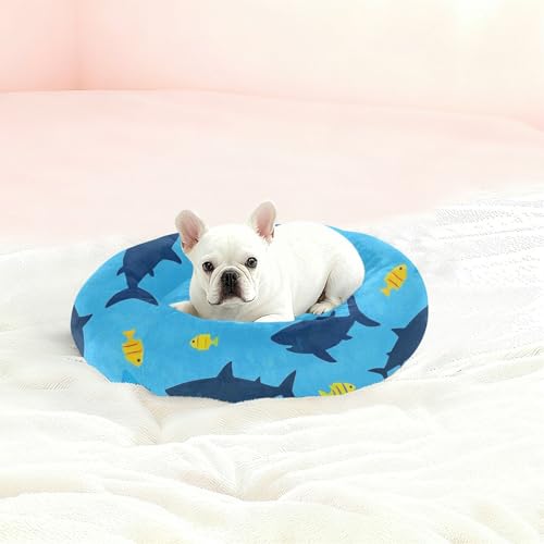 Lit antidérapant pour chien taille M motif requin
