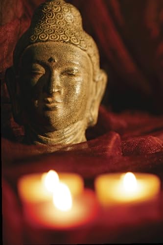 The Barefoot Temple Boy's Amazing Journey - A Memoir: Part II - The Benchama Years