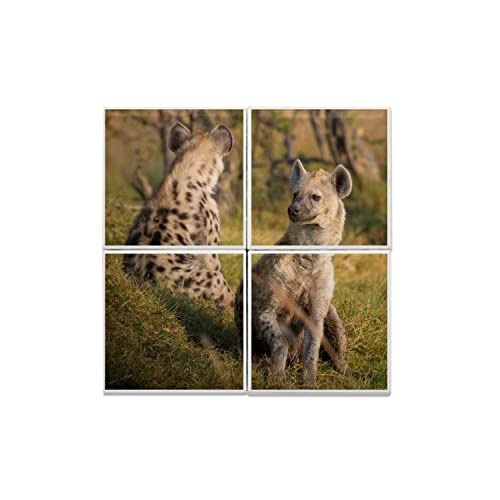 Carreaux céramique décoratifs hyènes savane pour embellir un mur nu