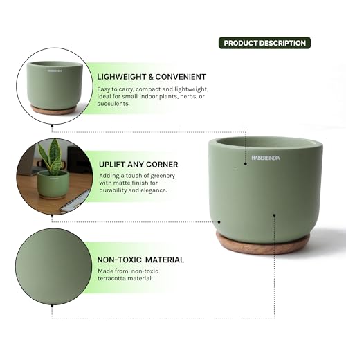 Image of Habere India-All the Cultures Fabricating India Plant Pot with Wooden Plate | Flower Pots for Dining Table & Home Decor | Terracotta Pot for Living Room Decoration (Green, Dia11 x H9.5 cm)