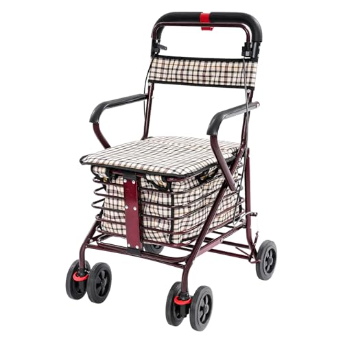 VitaChicuy Walker with Seat