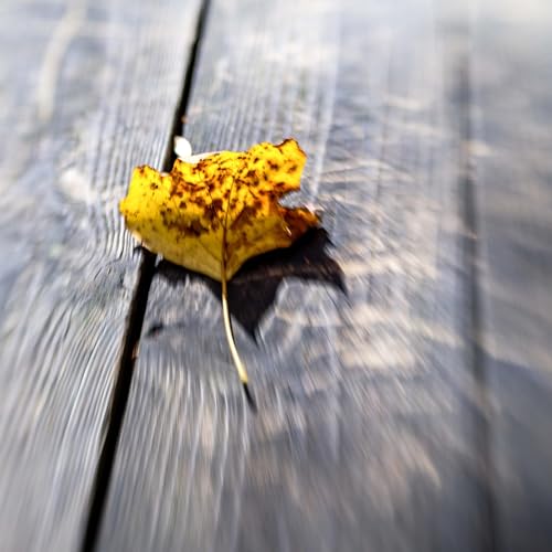 Ekti Paromad : Pinaki Sarkar