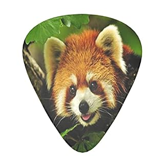 Lot de 12 médiators motif panda rouge pour guitare basse électrique et acoustique - Les Beatles, Paul McCartney, John Lennon, RIngo Starr, George Harrison